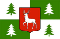 флаг Боржоми